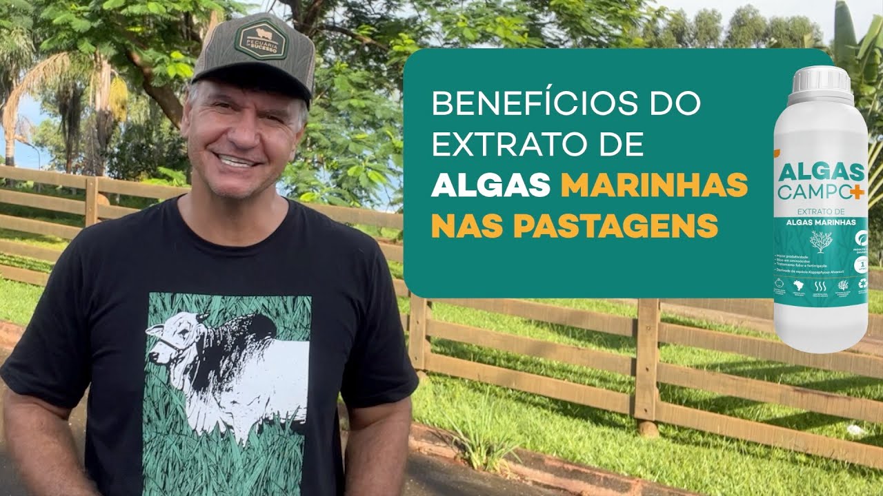 VEJA O QUE O EXTRATO DE ALGAS FEZ NAS MINHAS PASTAGENS - AUMENTO DE 59%.