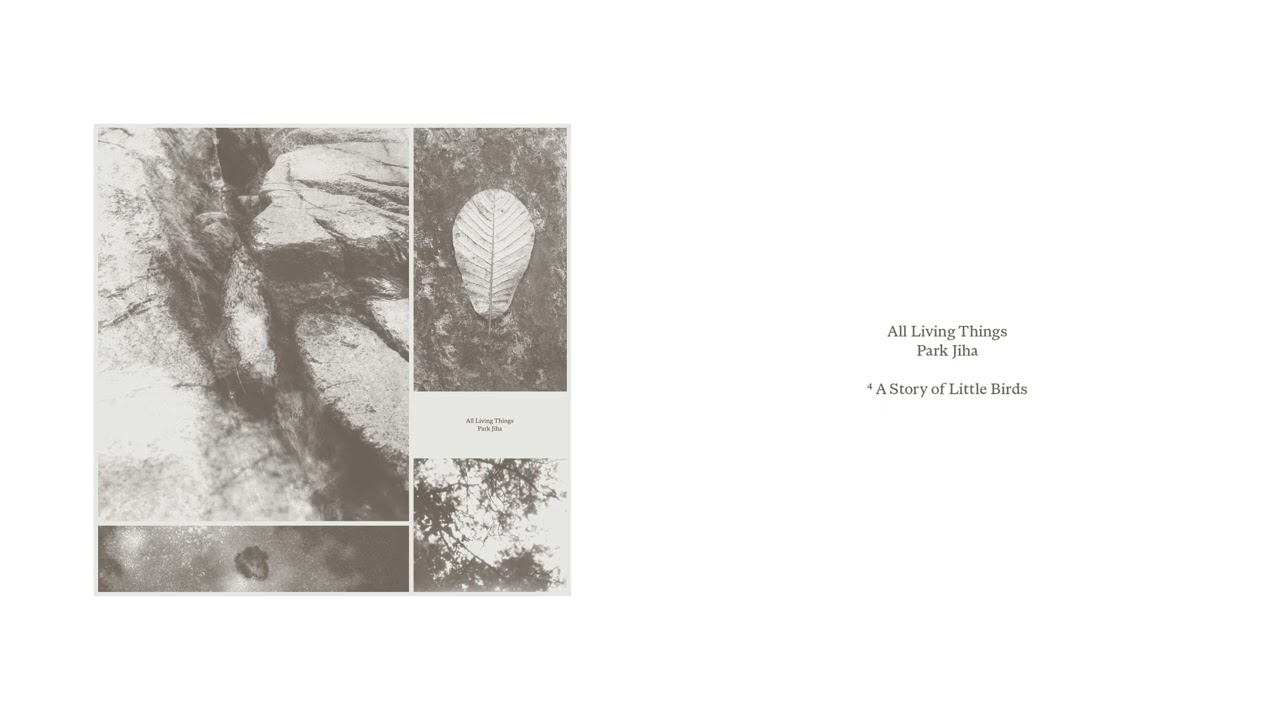 A Story of Little Birds_박지하 Park Jiha (Official Audio)