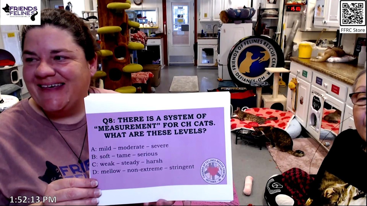 Take the FFRC Quiz 02-14-2026 by StripeyD Friends of Felines Rescue Center (FFRC)