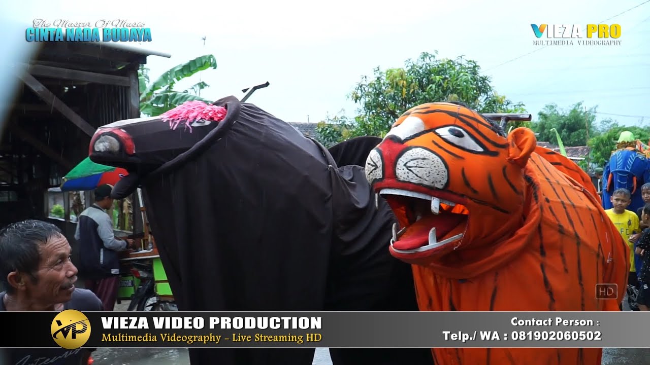 NGAPLANG NGAPLANG | TAINI | BUROK DANGDUT CINTA NADA BUDAYA SHOW SEKARDOJA 16/05/2025