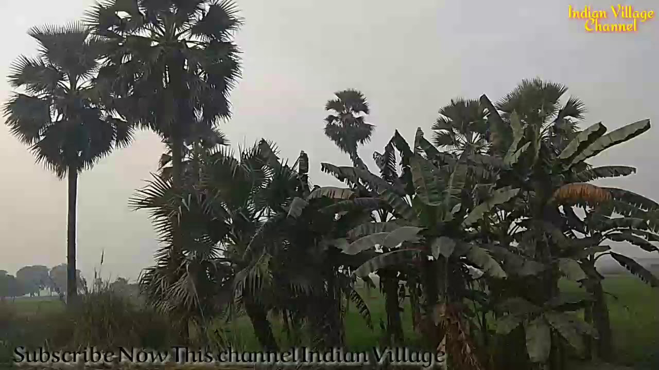 Indian Village ka fantastic video dest chhapra youtube channel