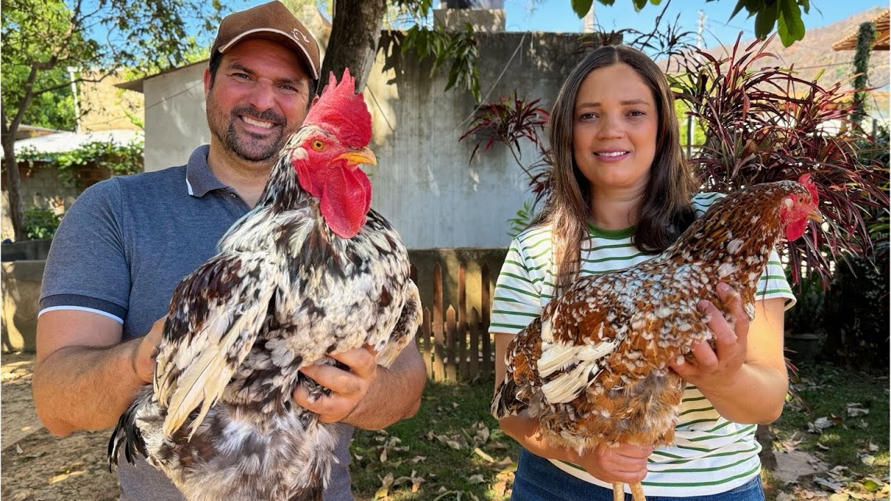 👉 Você acredita no presente que veio de 1.300 km de distância?