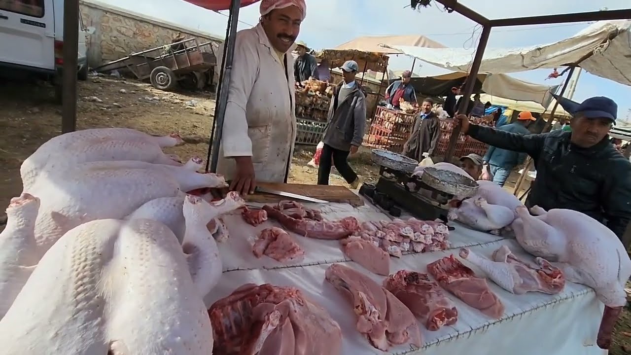 تلات لولاد فيني نقدم. لكم أتمنة اللحوم بيضاء من بيبي دجاج حية +دجاج ترااجع في تمن 23/5/2023
