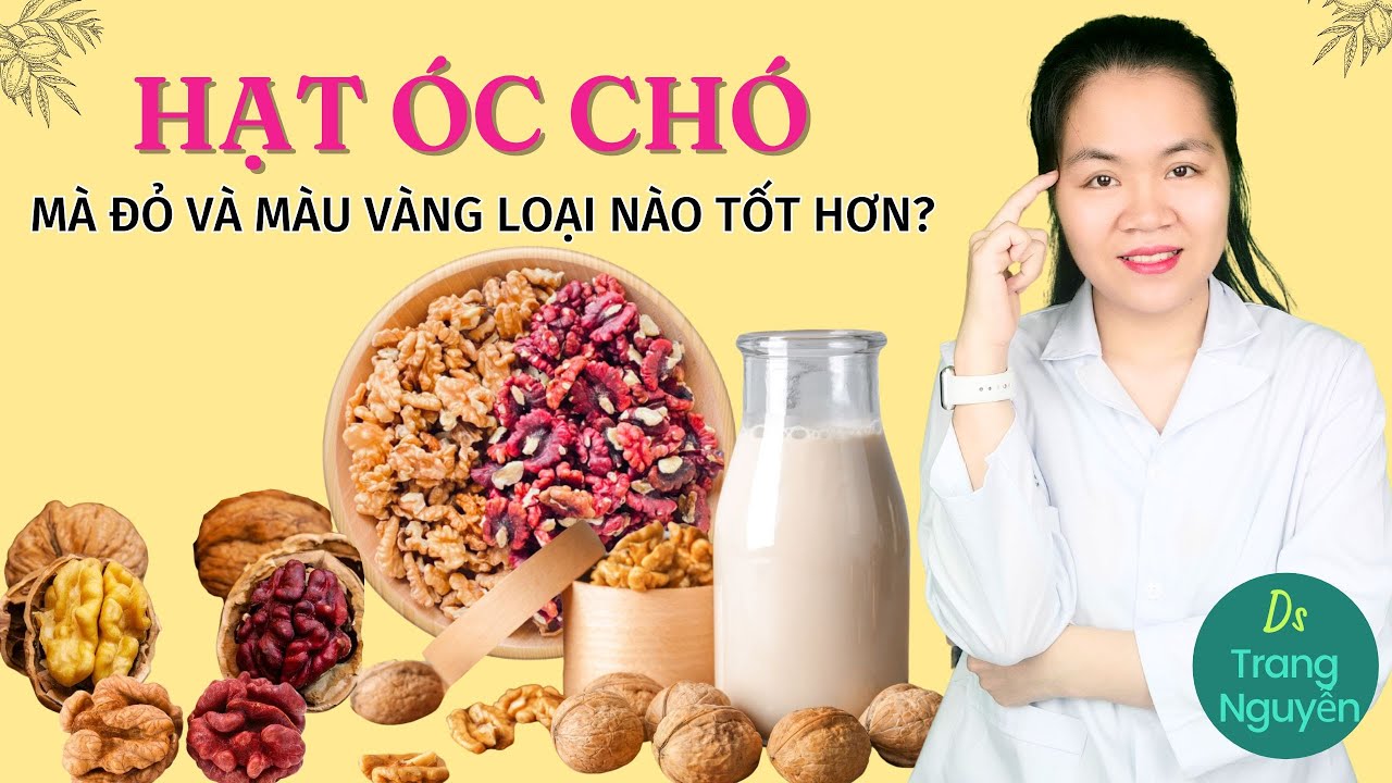 Sử dụng hạt &oacute;c ch&oacute; đỏ v&agrave; hạt &oacute;c ch&oacute; v&agrave;ng loại n&agrave;o gi&agrave;u dinh dưỡng hơn