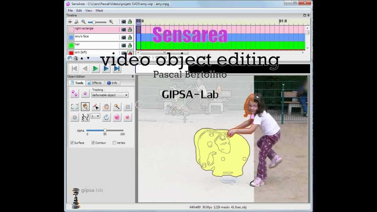 Sensarea - Video object editing