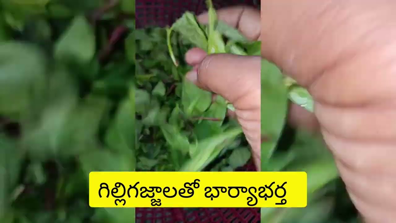 భాగి ప్రేమలో పడిన.. అమర్ నేనేం చేయలేదు అని డబ్బాయించిన బాగి.. అందరికంటే ముందుగా మీ కోసం