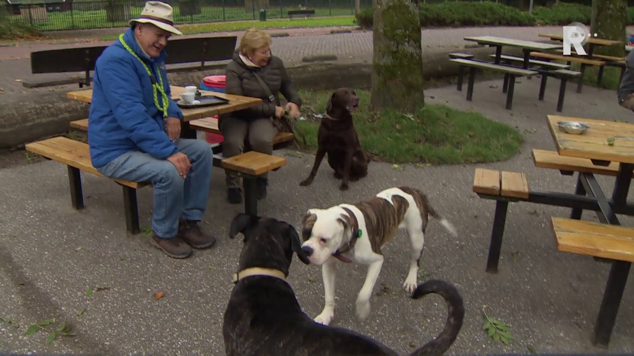 Rotterdams koppel twijfelde lang over laten klonen hond