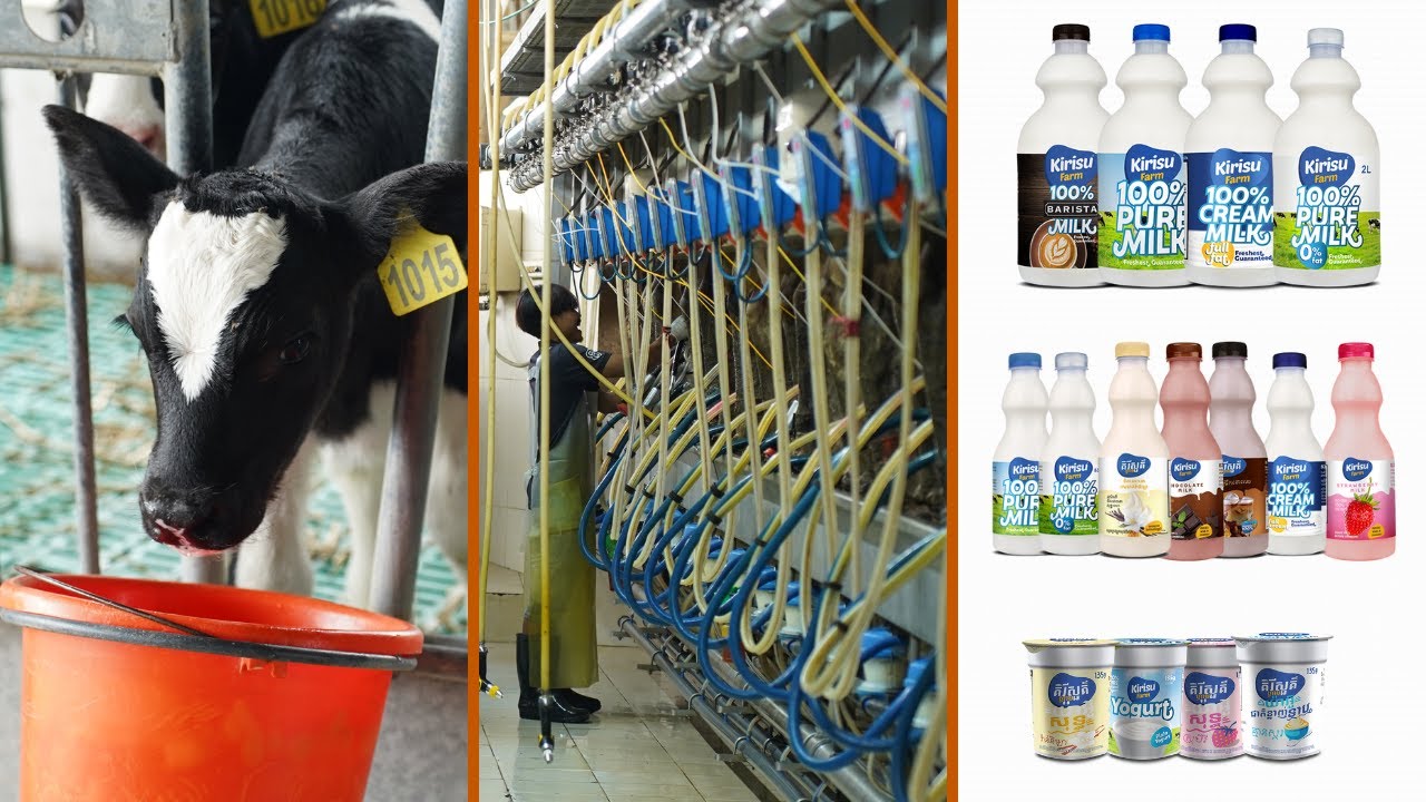 Kirisu Farm&rsquo;s Commitment to Sustainability and Local Communities