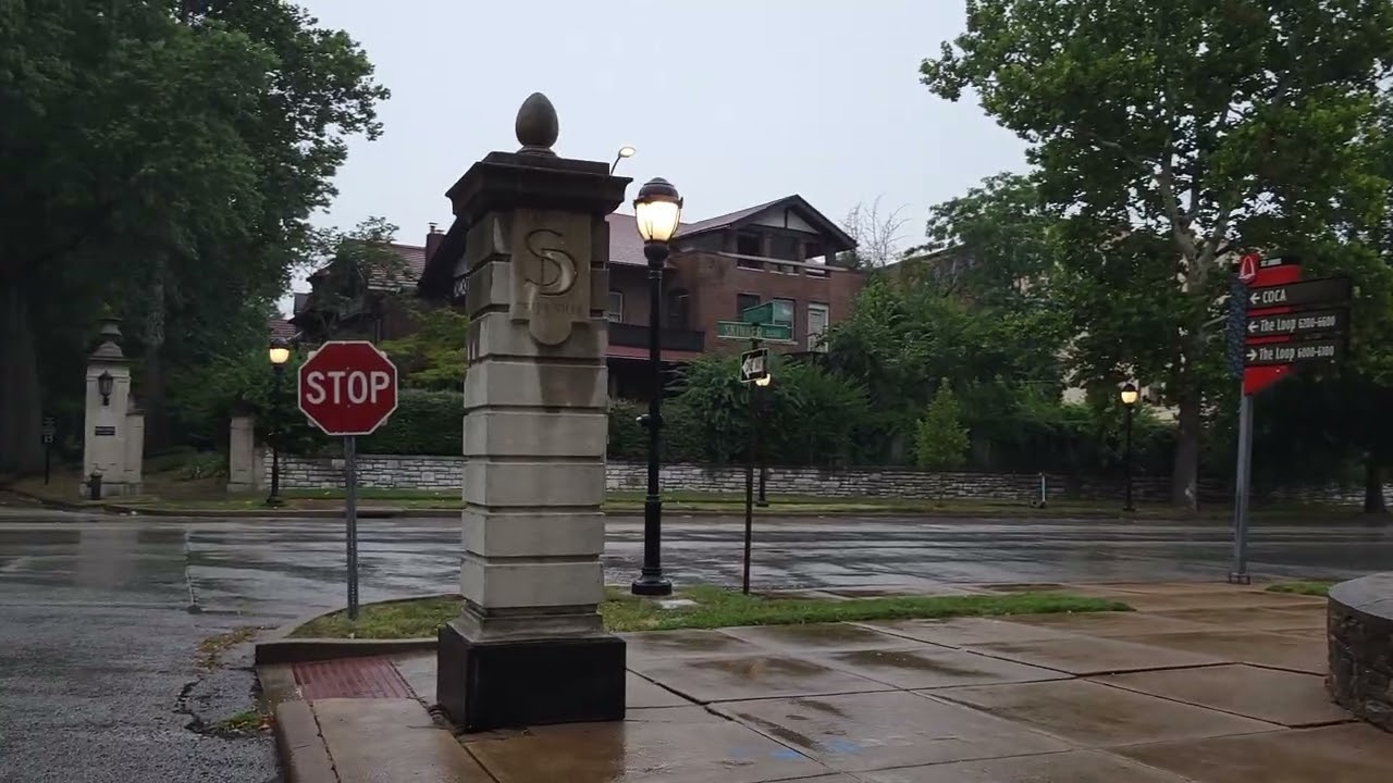 Walking From Skinker's Station to the Delmar's Station in St. Louis,  Mo.