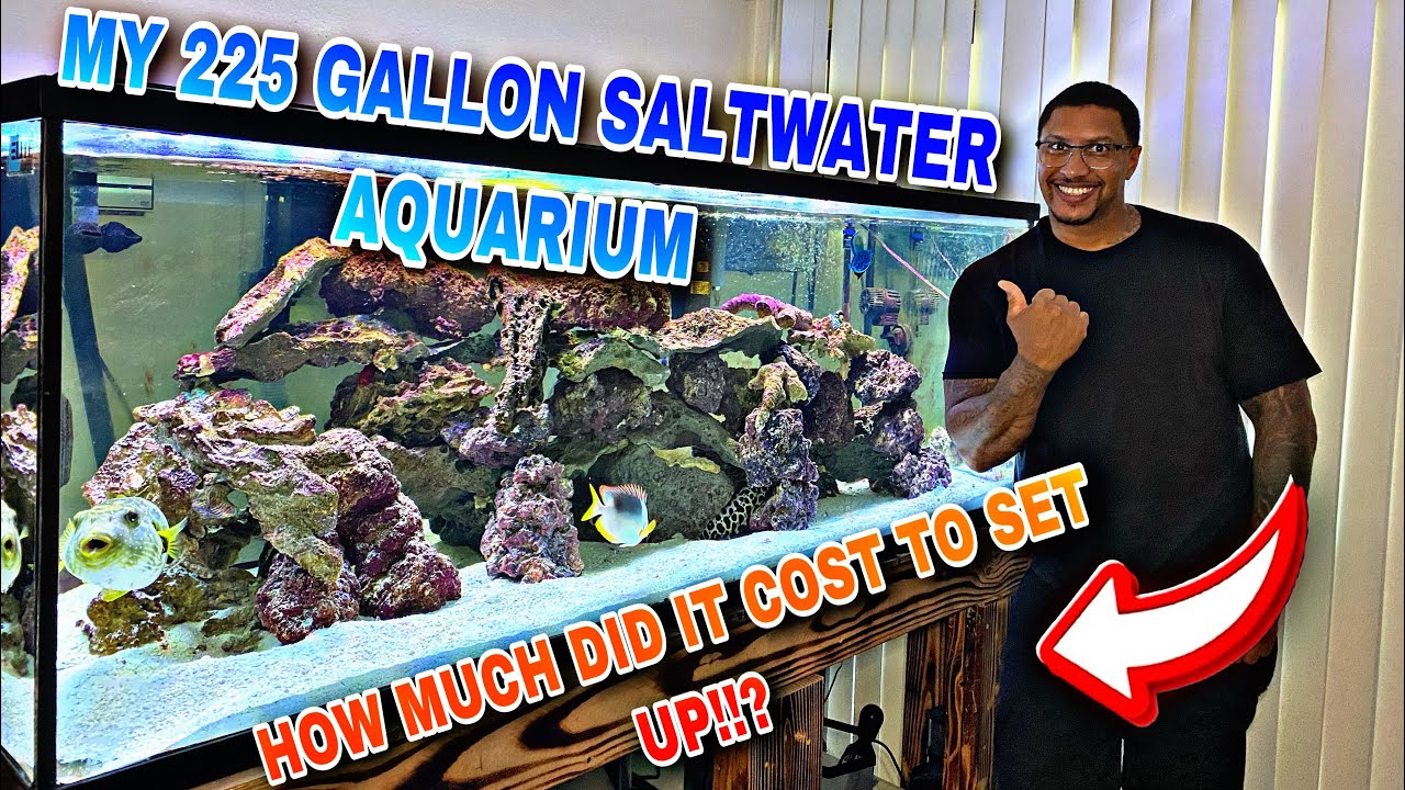 MY 225 GALLON SALTWATER AQUARIUM!! *HOW MUCH DID IT COST TO SET UP??*