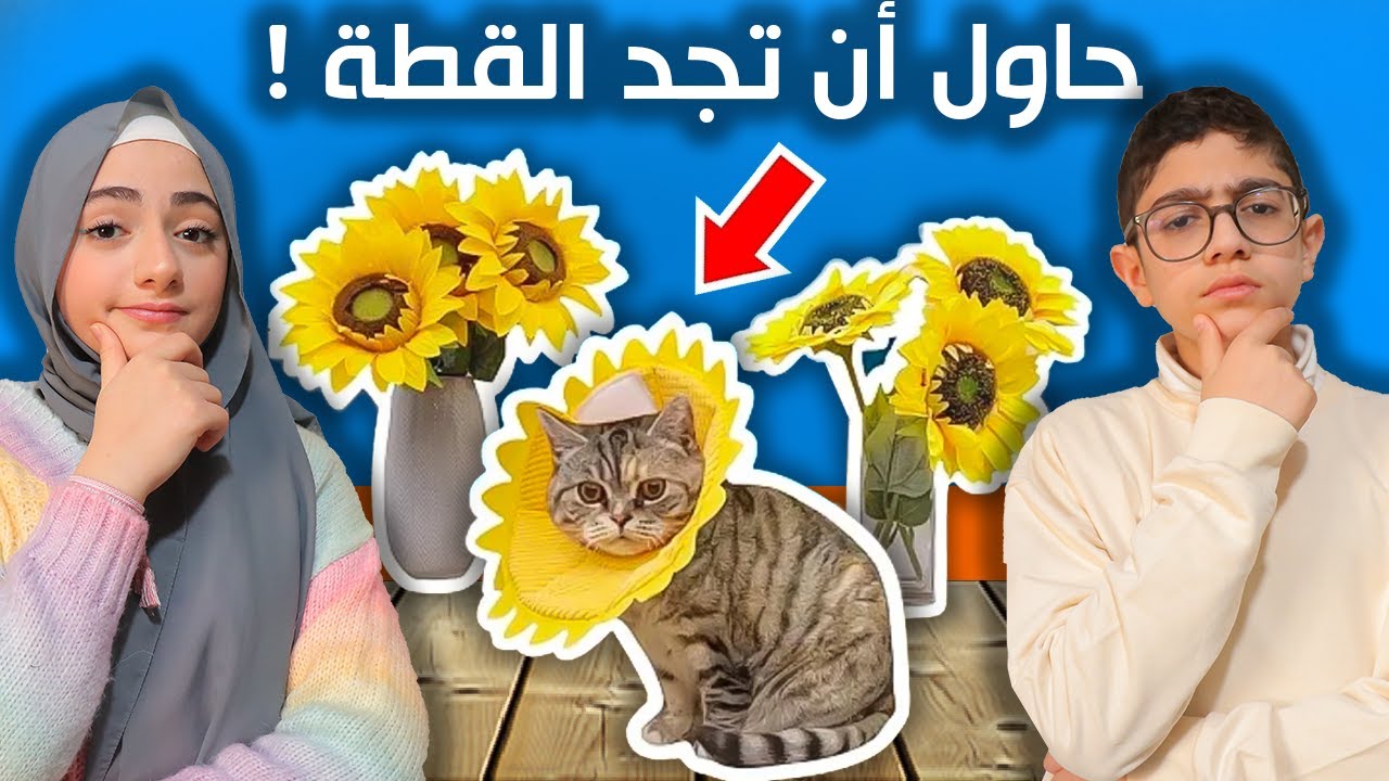 حاول أن تجد القطط المختبئة ! تربح الجائزة