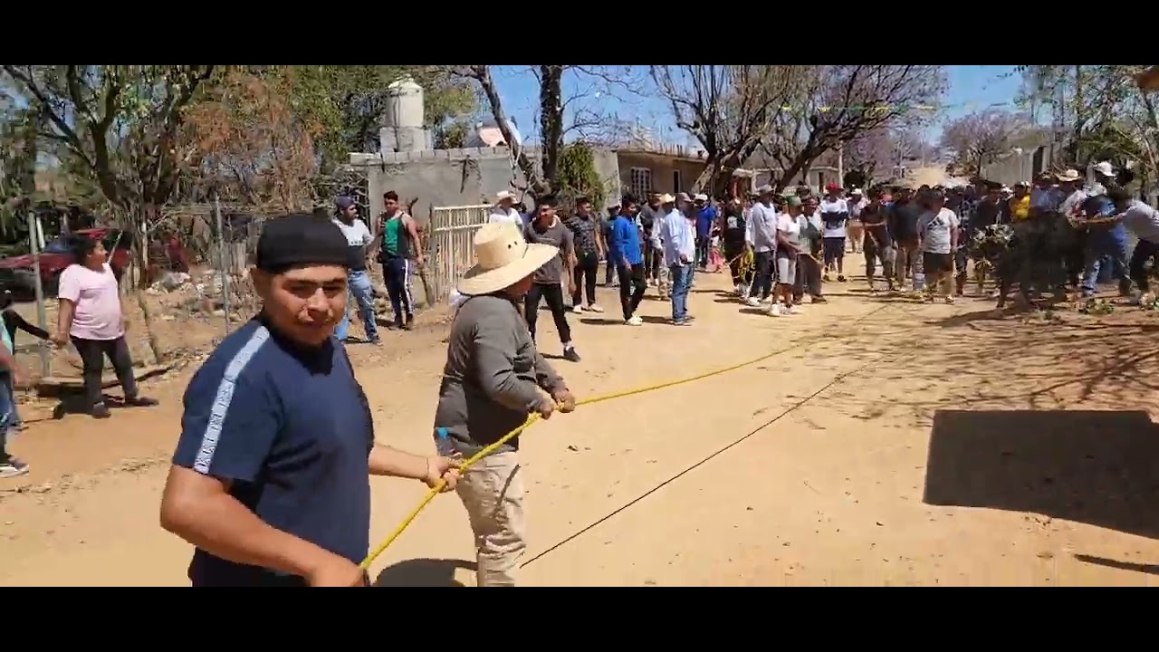 Paseo del toro de once en San José  Vista Hermosa. Fiesta patronal 2024