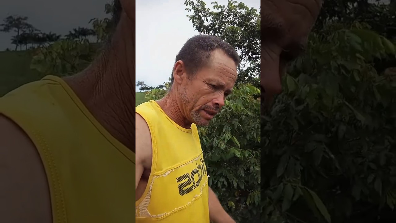 preocupado abelhas #vlog #historias #explora&ccedil;&atilde;o