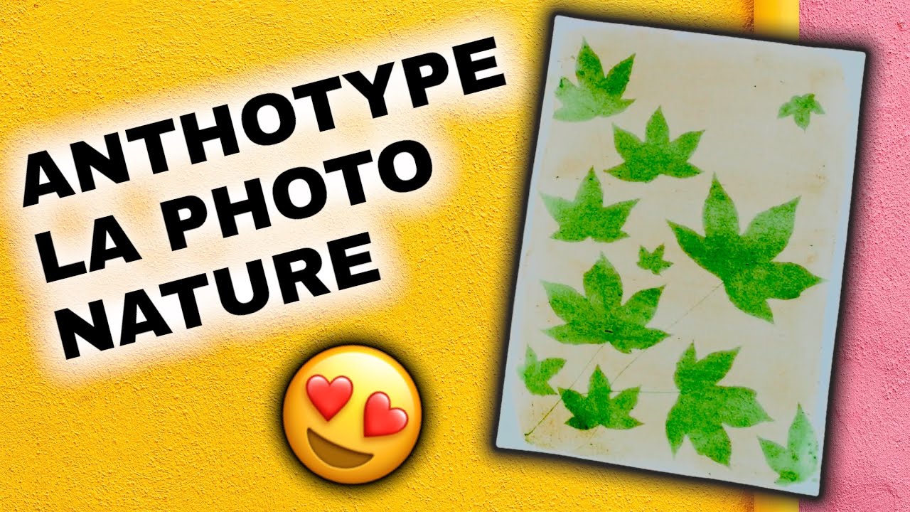 TUTO : Anthotype a la chlorophylle de trèfles