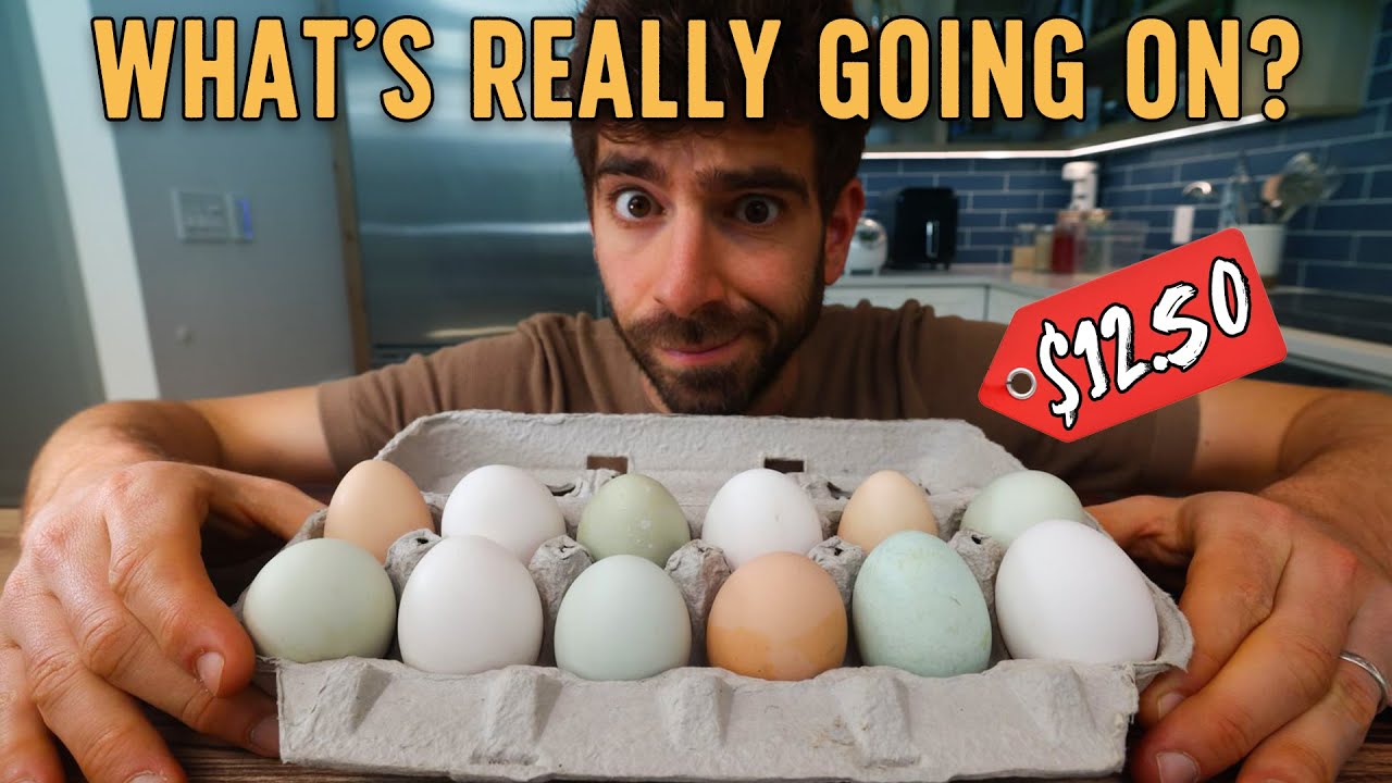 the price of eggs is not the real problem...