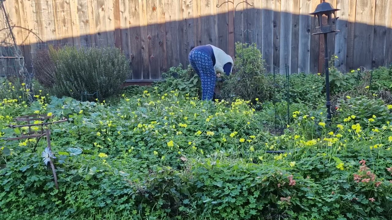 Hey Mom! It's Time To Pull Weeds