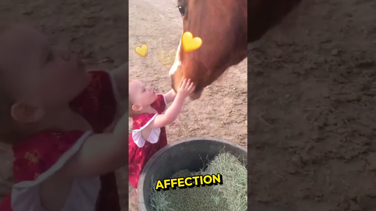 Little Girl Wholesome Moment With Horses🥺💞 #shorts