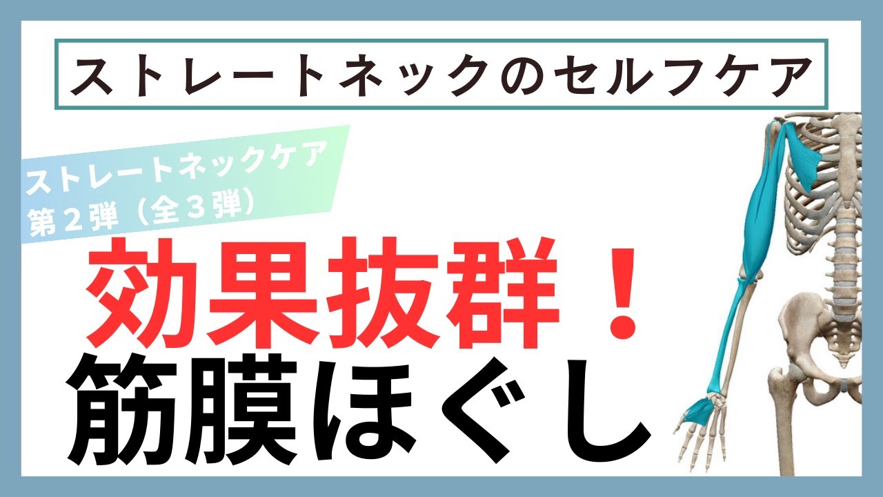 【第２弾】ストレートネックケア筋・筋膜編！【肩こり・腰痛】【牛久陽彩整体院】