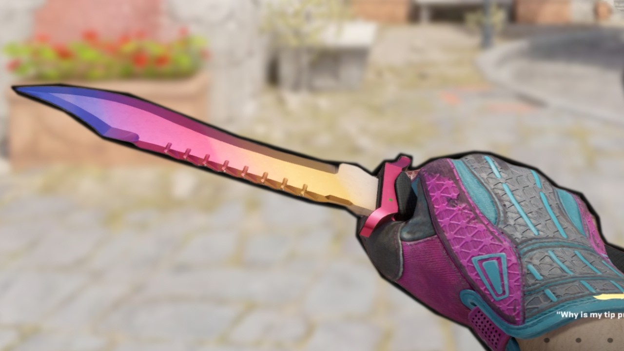 your sign to get a bowie knife...