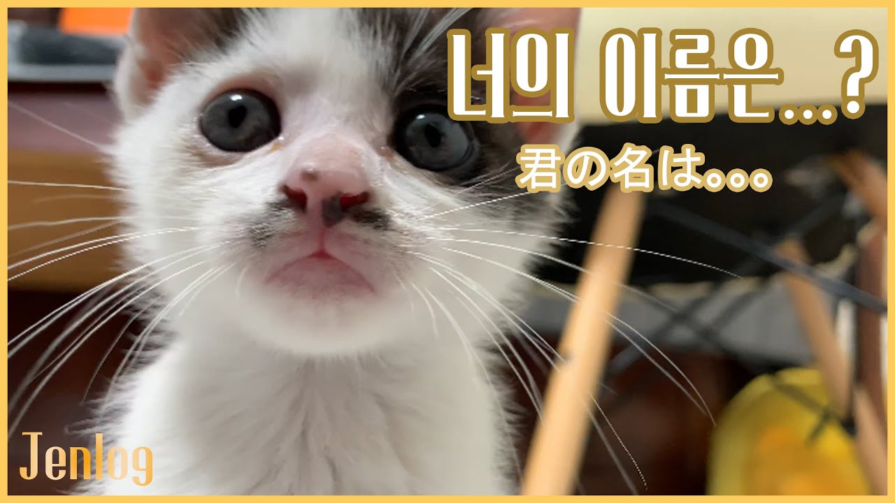 이 아이의 이름은 과연...?!?!👀