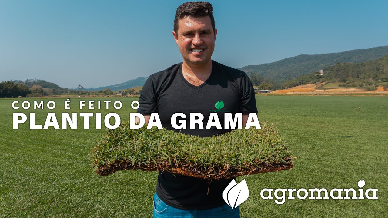 Como preparar a terra antes de fazer o plantio da grama
