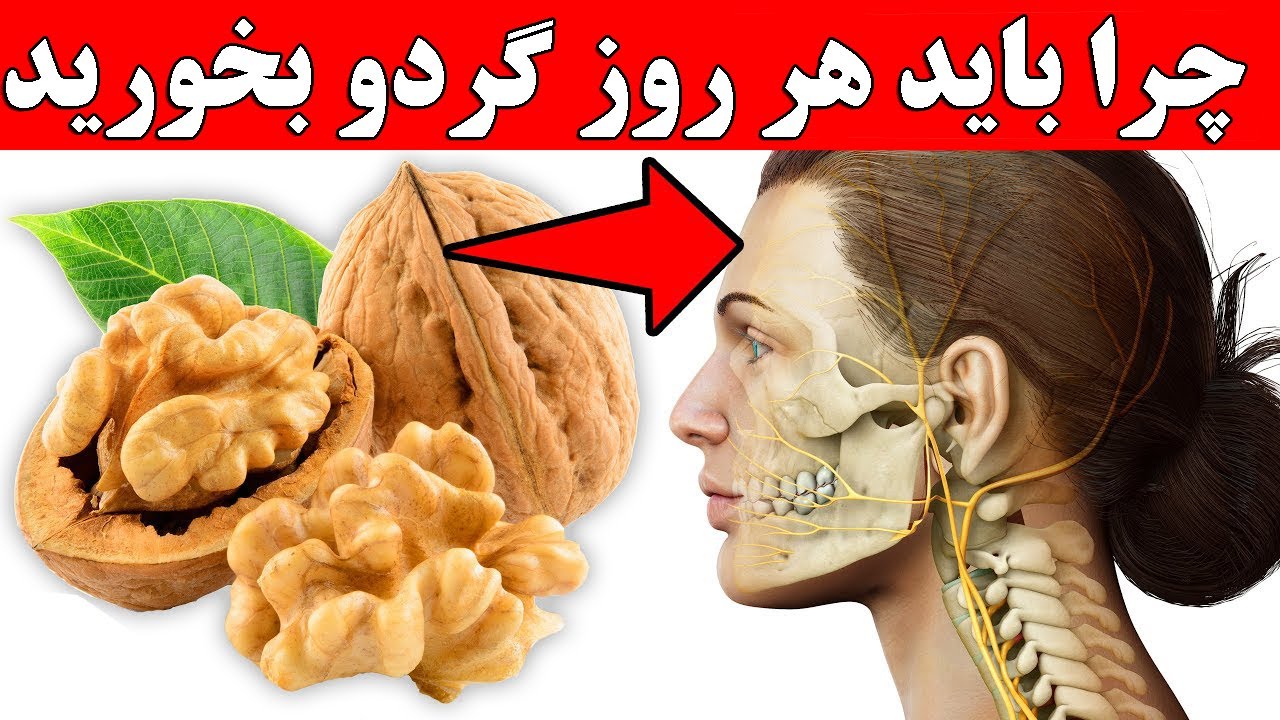 چرا باید هر روز گردو بخوریم ؟ ( ۱۲ دلیل اثبات شده و ۱۰۰٪ علمی )