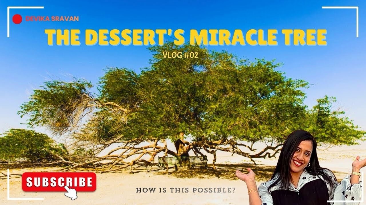 How is this tree still alive in the middle of a desert? 🌳🤯