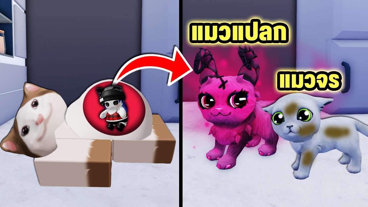 เมื่อฉันเกิดเป็นแมวแปลกประหลาด! | Roblox🐾Kitten Ville