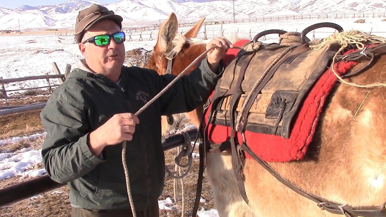 Box hitch on a decker pack saddle with Mile High Outfitters