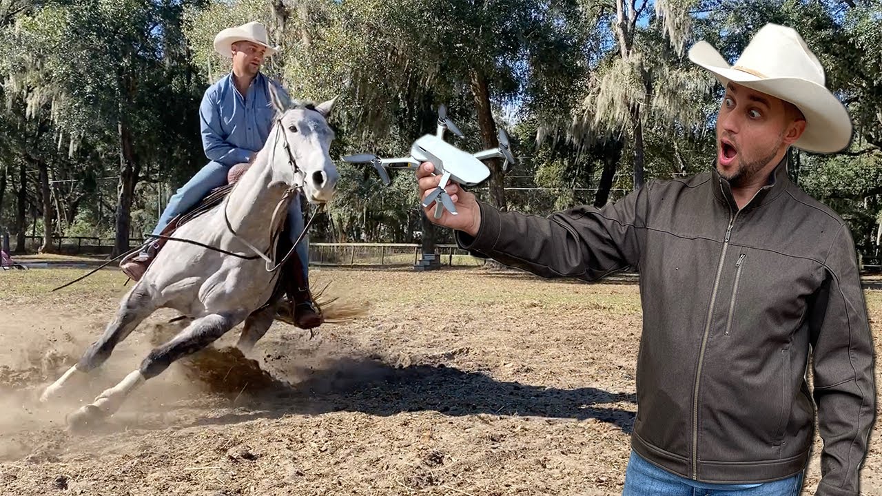 I TRAINED My Horse With A DRONE