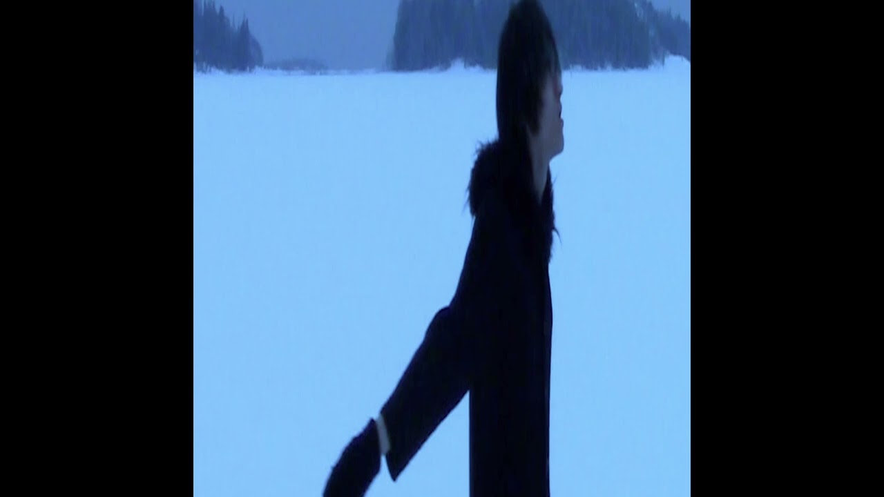 tarozan - everyday (p. seanpotter597 + leoewski) #kirari