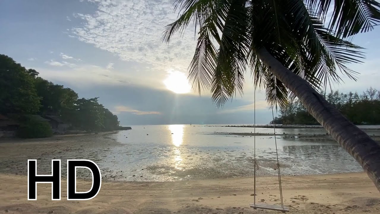 Downtown Bangkok | Travel to Thailand | Thai Food | Royalty Free | Stock Footage