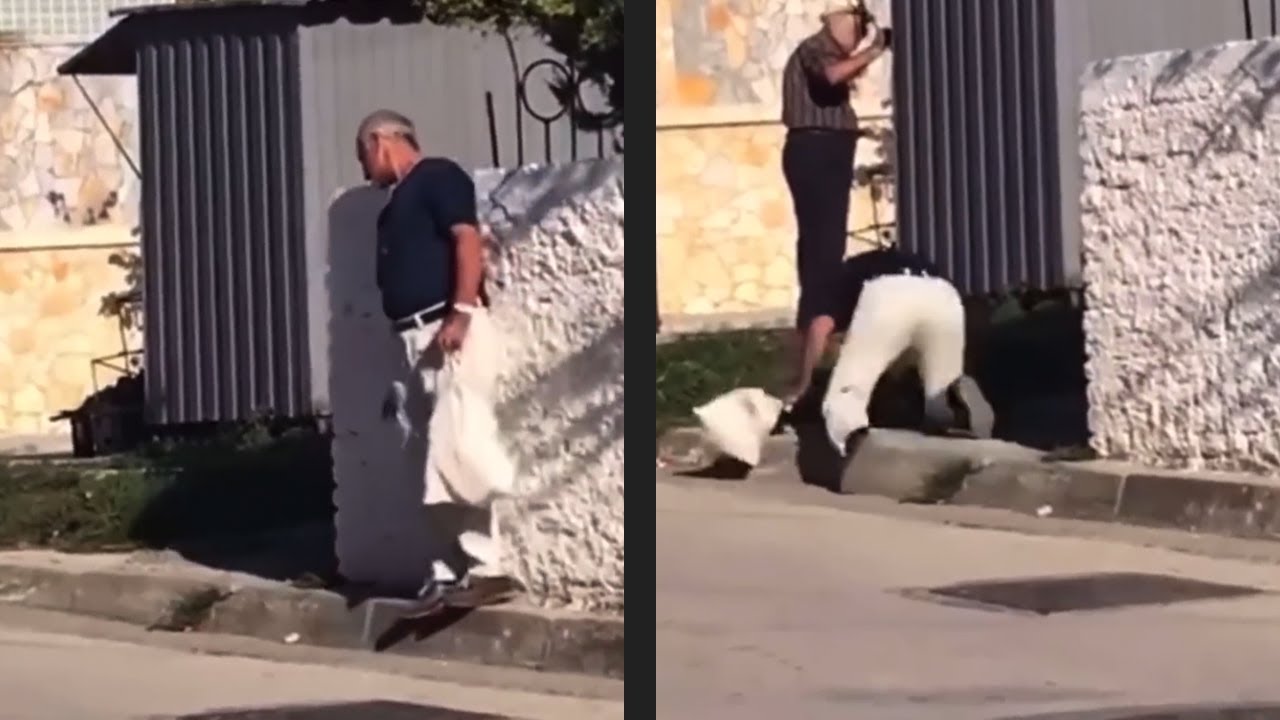 Try Not To Laugh! | Fails Videos Compilation | #failsvideos