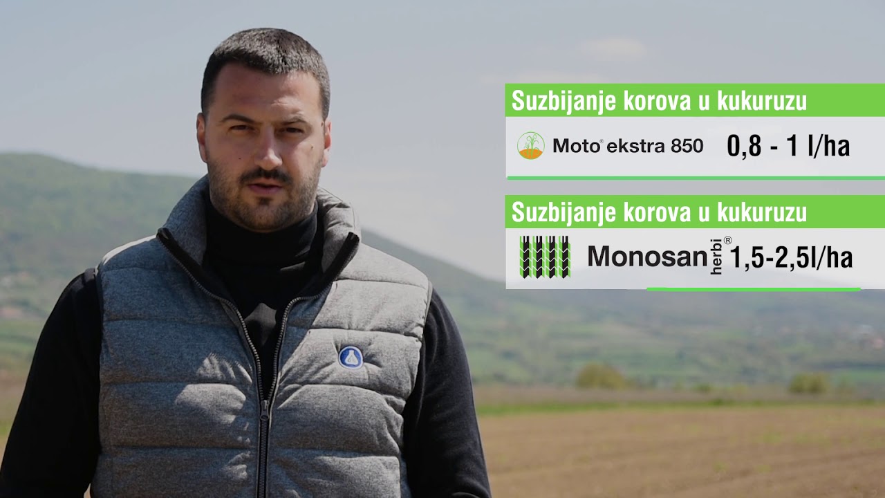Zaštita kukuruza nakon nicanja