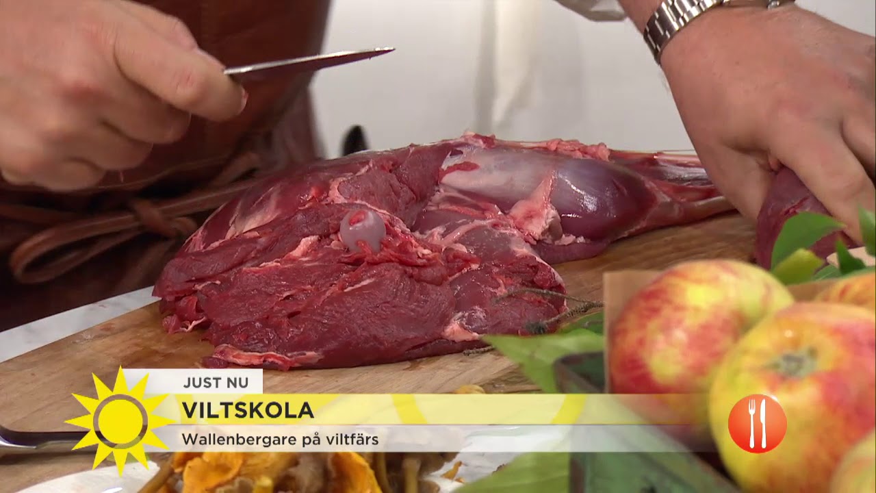 Här styckar Steffo rådjur – krögaren ger sina bästa vilt-tips - Nyhetsmorgon (TV4)