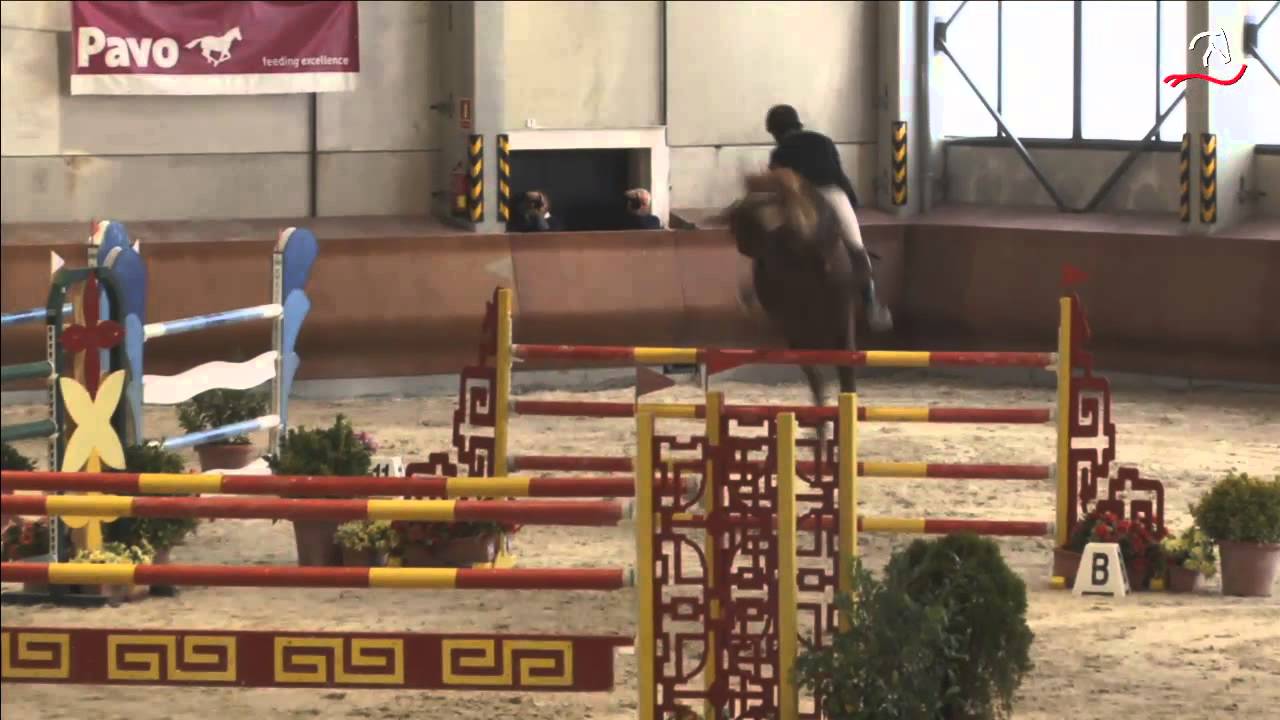 PEPEEUR DES EPINETTES GP 1,45m