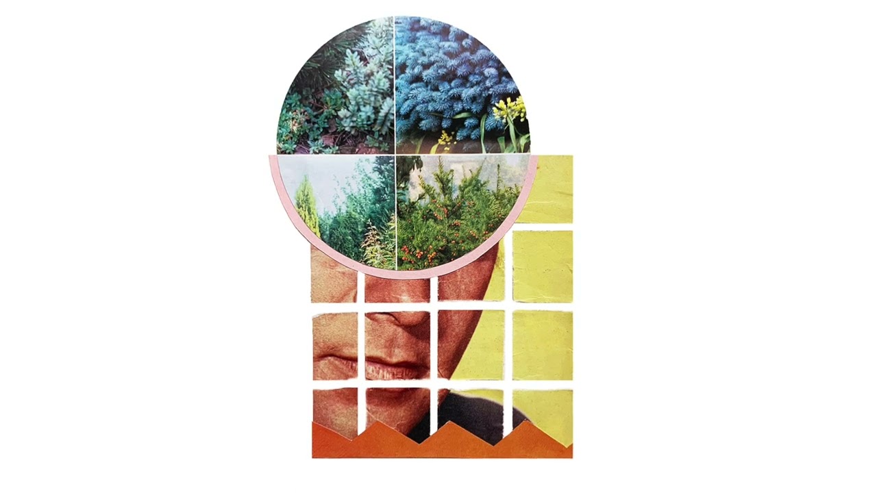 Catching Flies - Oi (Official Audio)