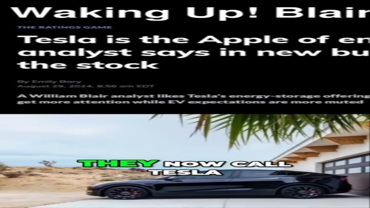 #4 Tesla  The Apple of Energy  Future of Renewable Tech
