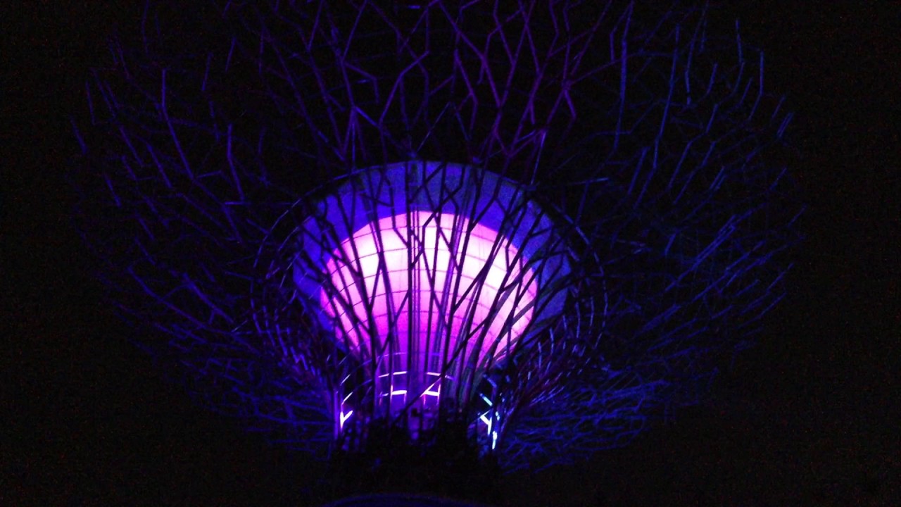 Dr Shahjada Selim's video of Light show at Gardens by the Bay, Singapore
