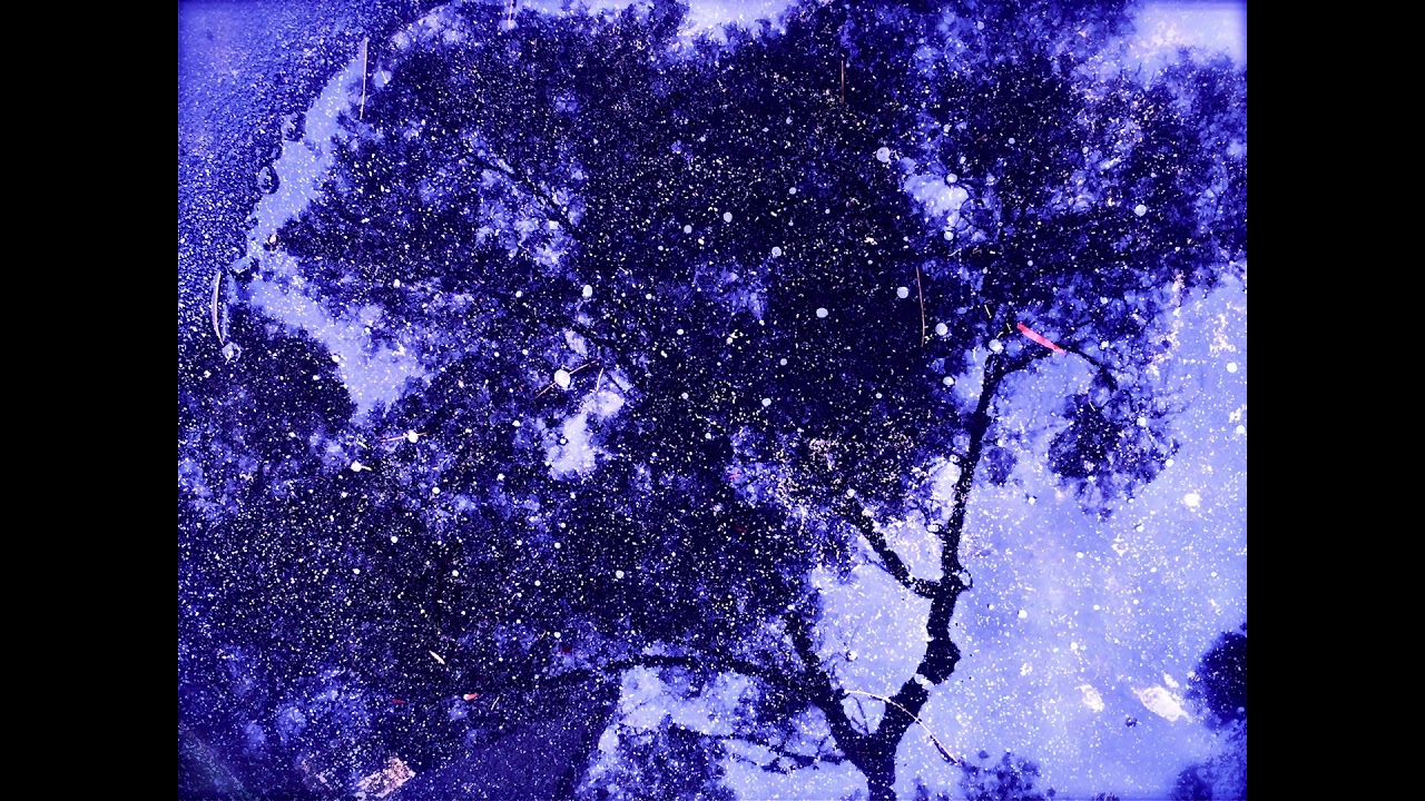 坂本龍一 Ryuichi Sakamoto - The Garden
