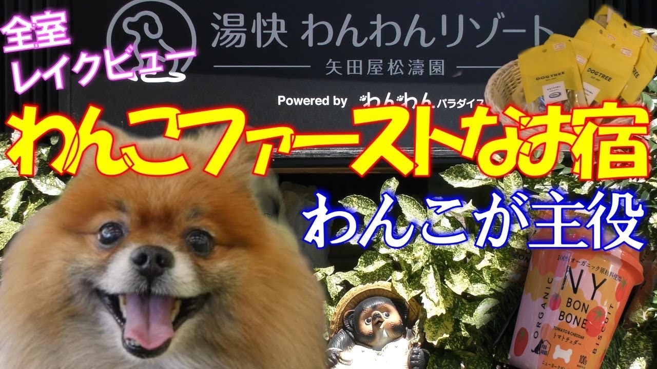 湯快わんわんリゾートプレミアム✨矢田屋松濤園🐕愛犬とずっと一緒💖【後編】