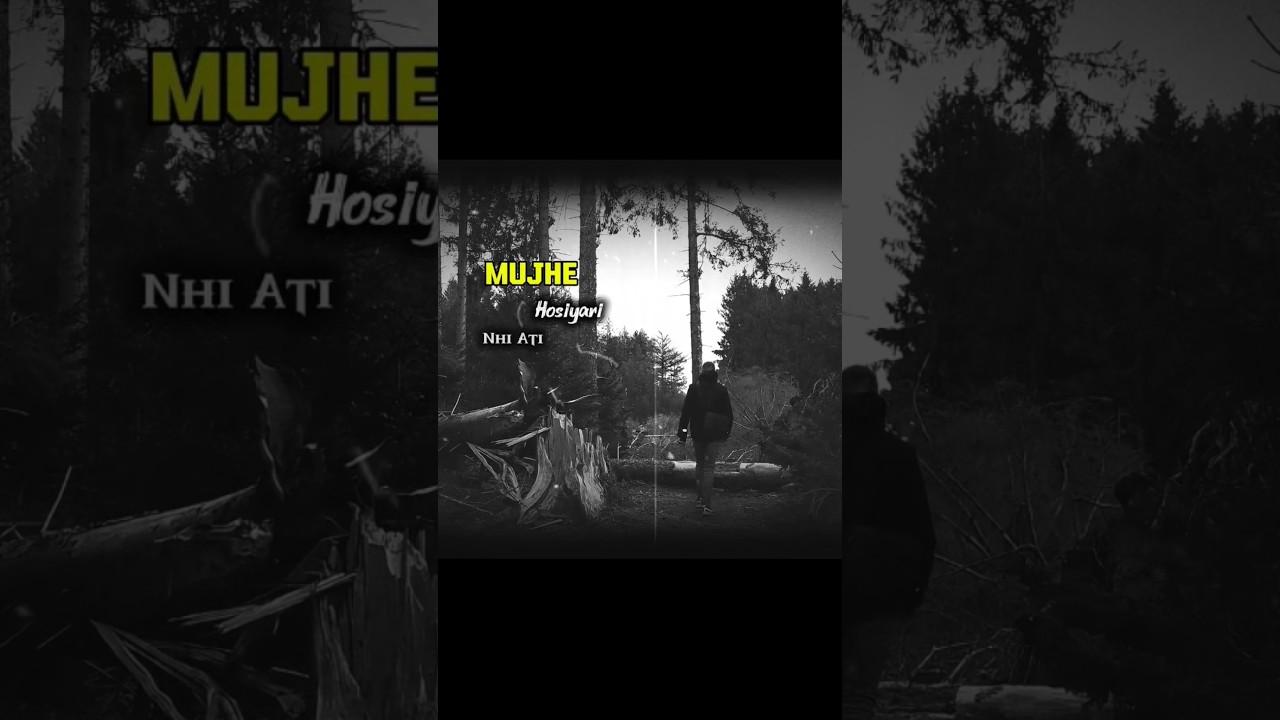 Shayad issiliye piche hun...🍁🥀#newpost​#sad​ #newvideo​ #brokenheart​ #line​ #sadstatus​