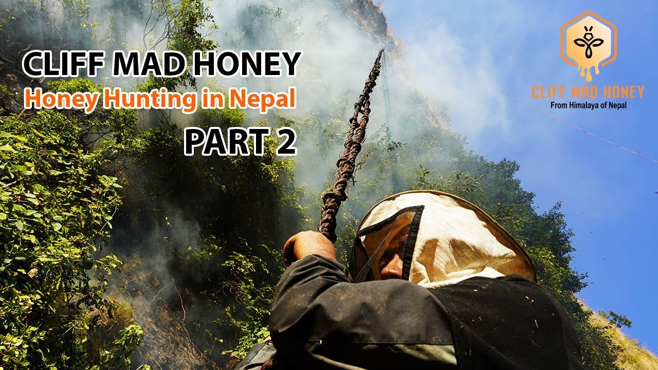Cliff Mad Honey | Honey Hunting in Nepal - Episode 2