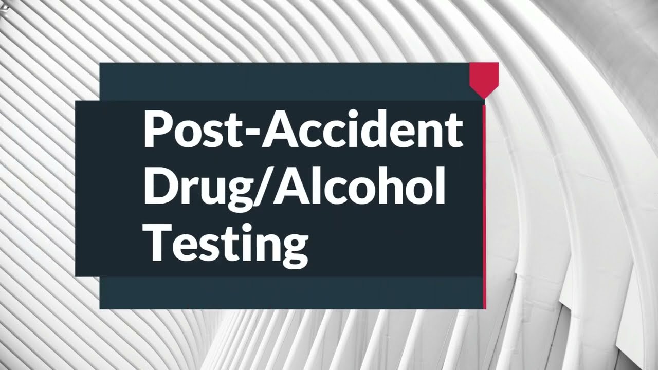 Crucial Steps After a Crash: The Ins and Outs of Drug and Alcohol Testing | DOT-Ready