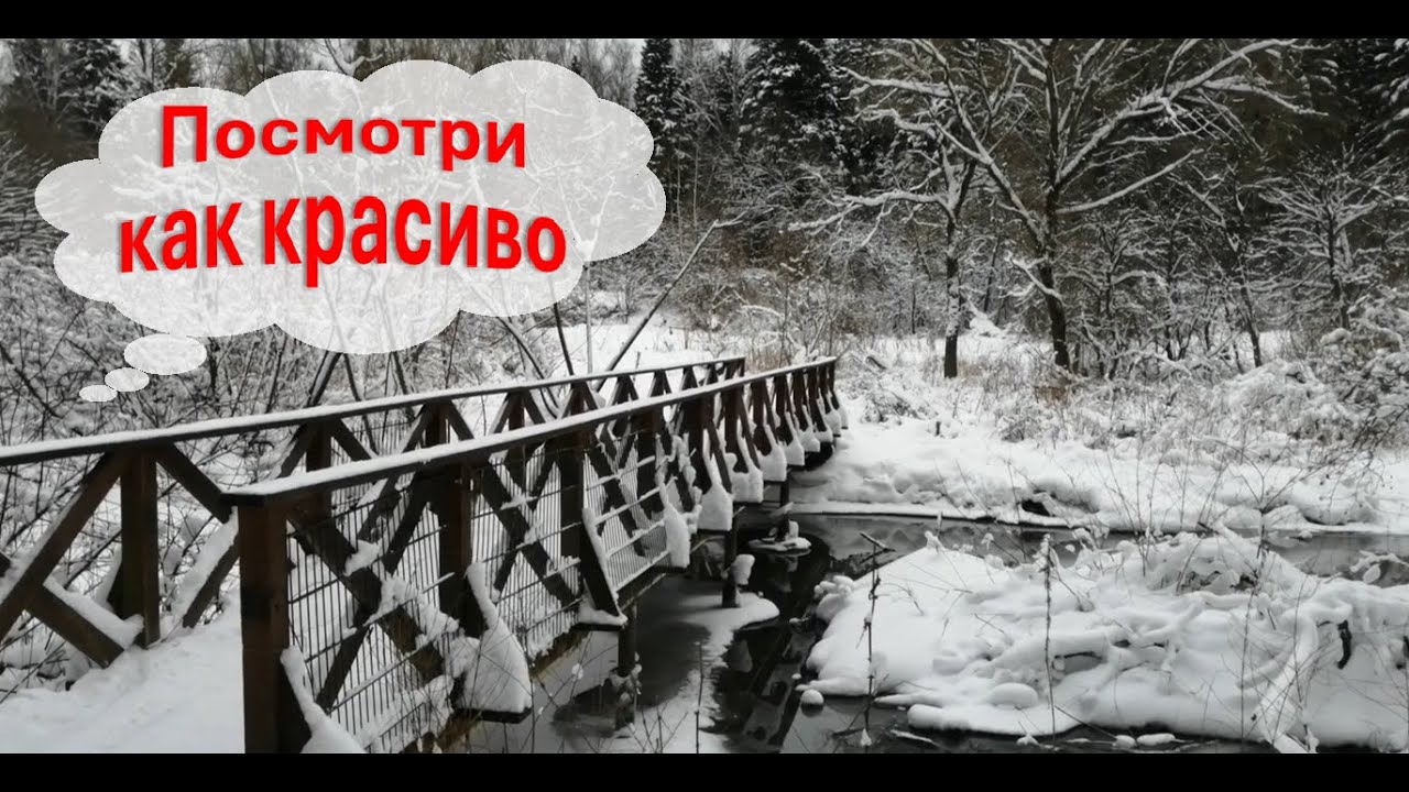 Зима в парке Мешково в Новой Москве