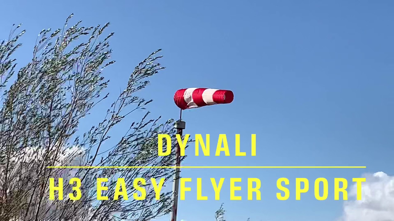 Hélicoptère ULM Dynali H3 revue de détail