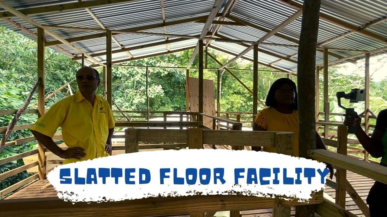 A LOOK AT A NEWLY BUILT SLATTED FLOOR FACILITY FOR GOAT AND SHEEP