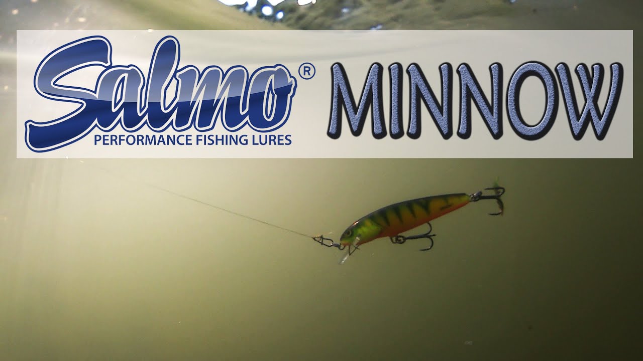 Salmo Minnow