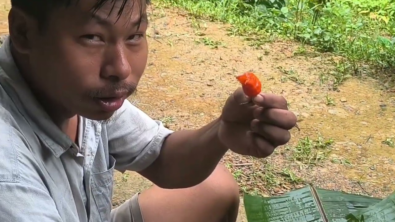 FUNNY MUKBANG WITH CHICKEN and king chilly 🐔🐔🐔