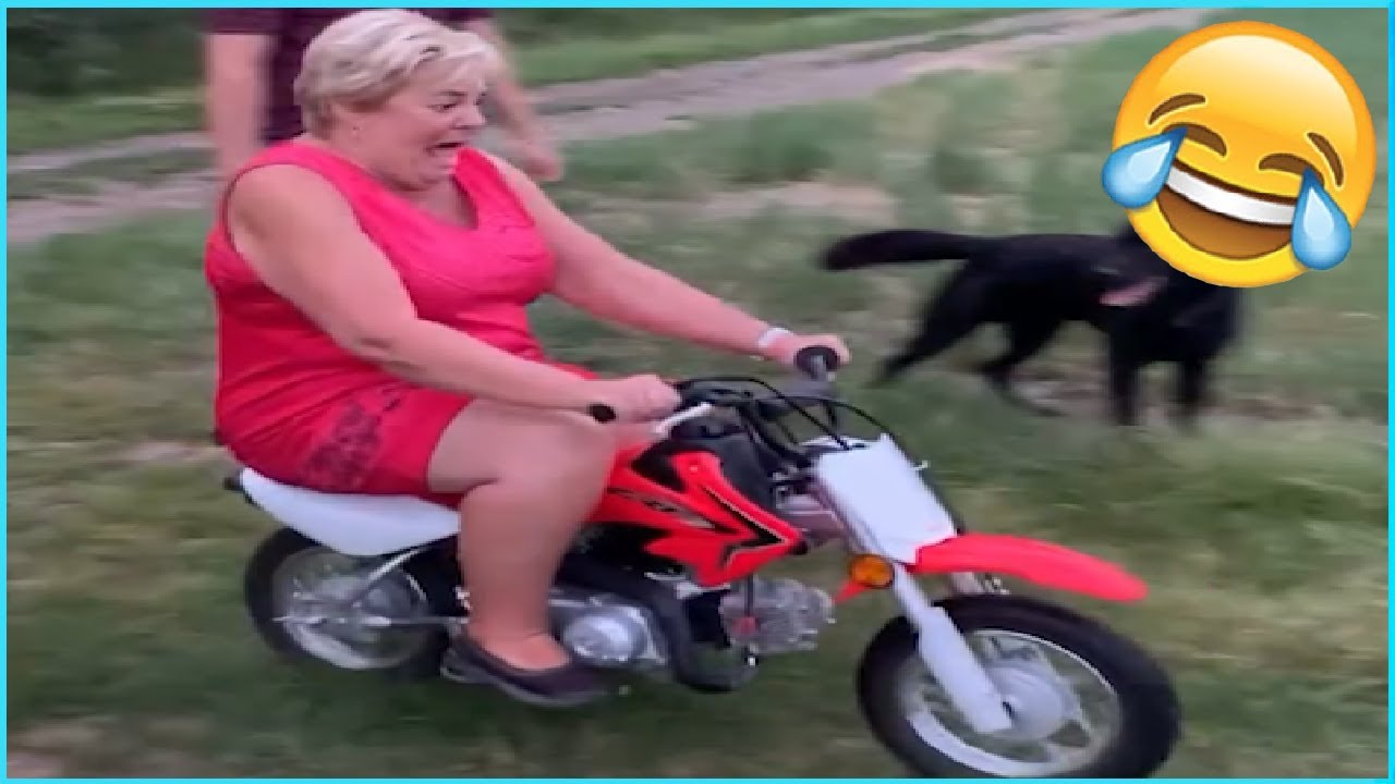 Best Funny Videos 🤣 - People Being Idiots / 🤣 Try Not To Laugh - BY Funny Dog 🏖️ #95